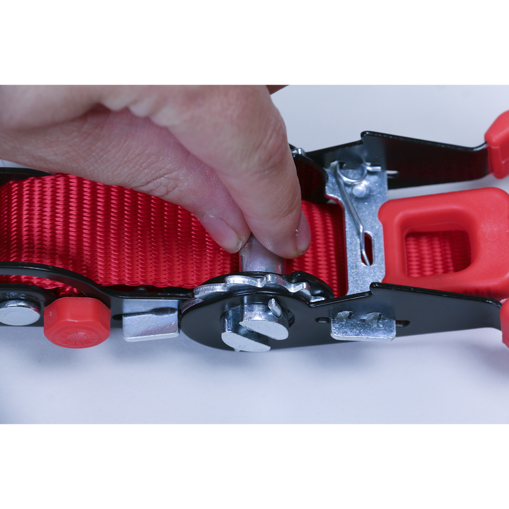 Slide Ratchet Strap Polyester Webbing with S-Hooks 32mm x 3m