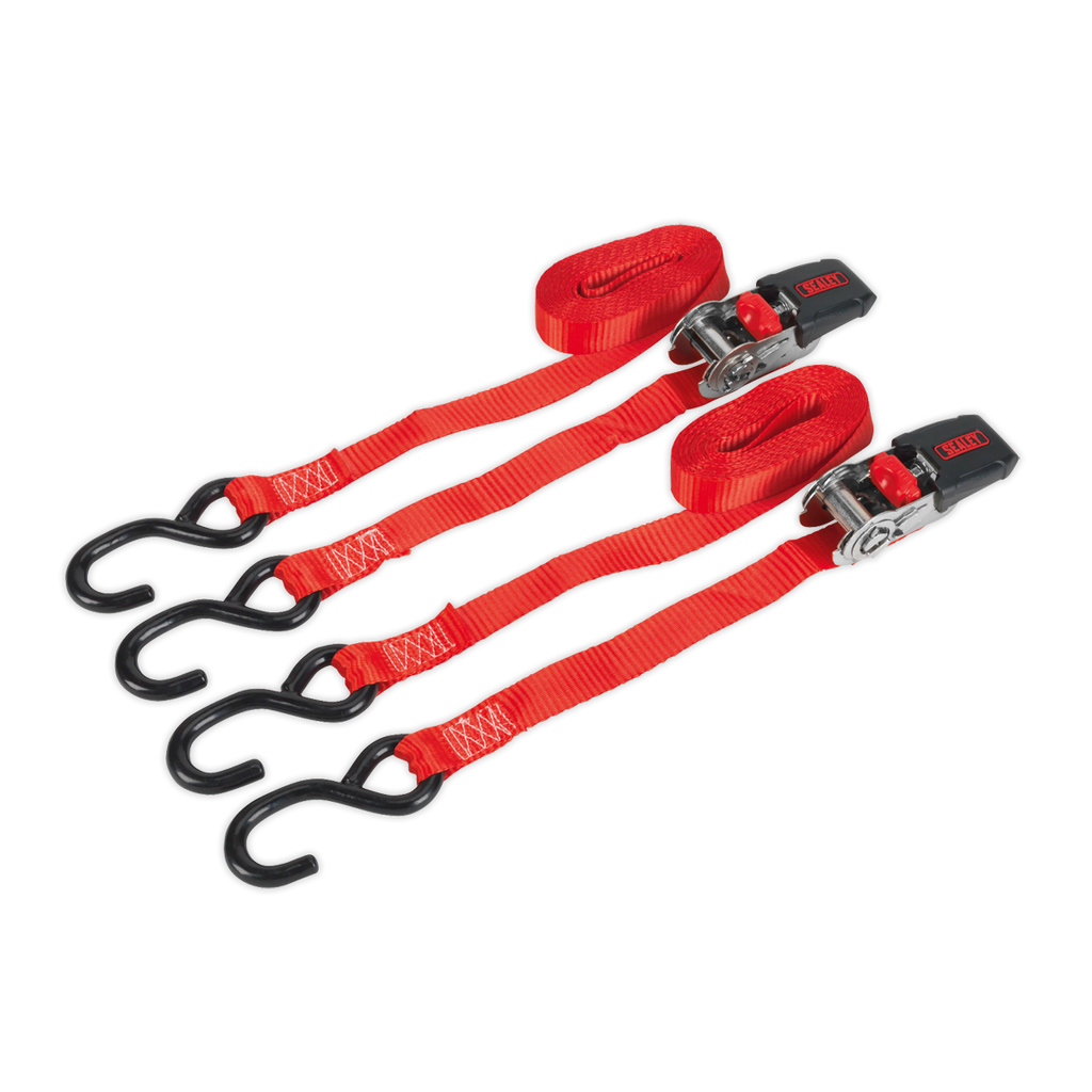 Ratchet Straps Polyester Webbing with S-Hooks 25mm x 4m 800k