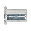 Regular Threaded Insert (Rivet Nut) M6 - Pack of 50