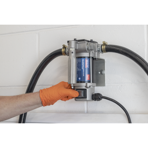 Portable Diesel/Fluid Transfer Pump 12V