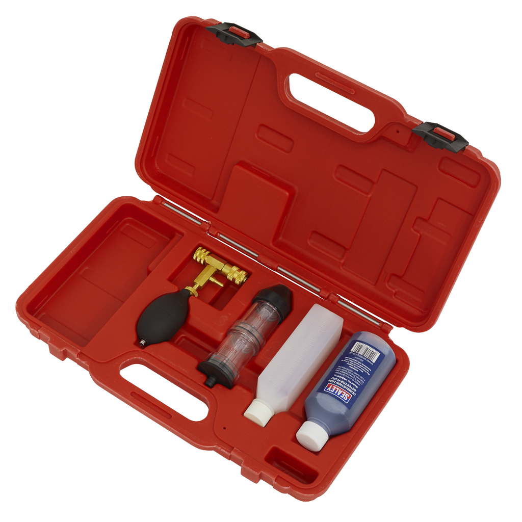 Combustion Leak Detector