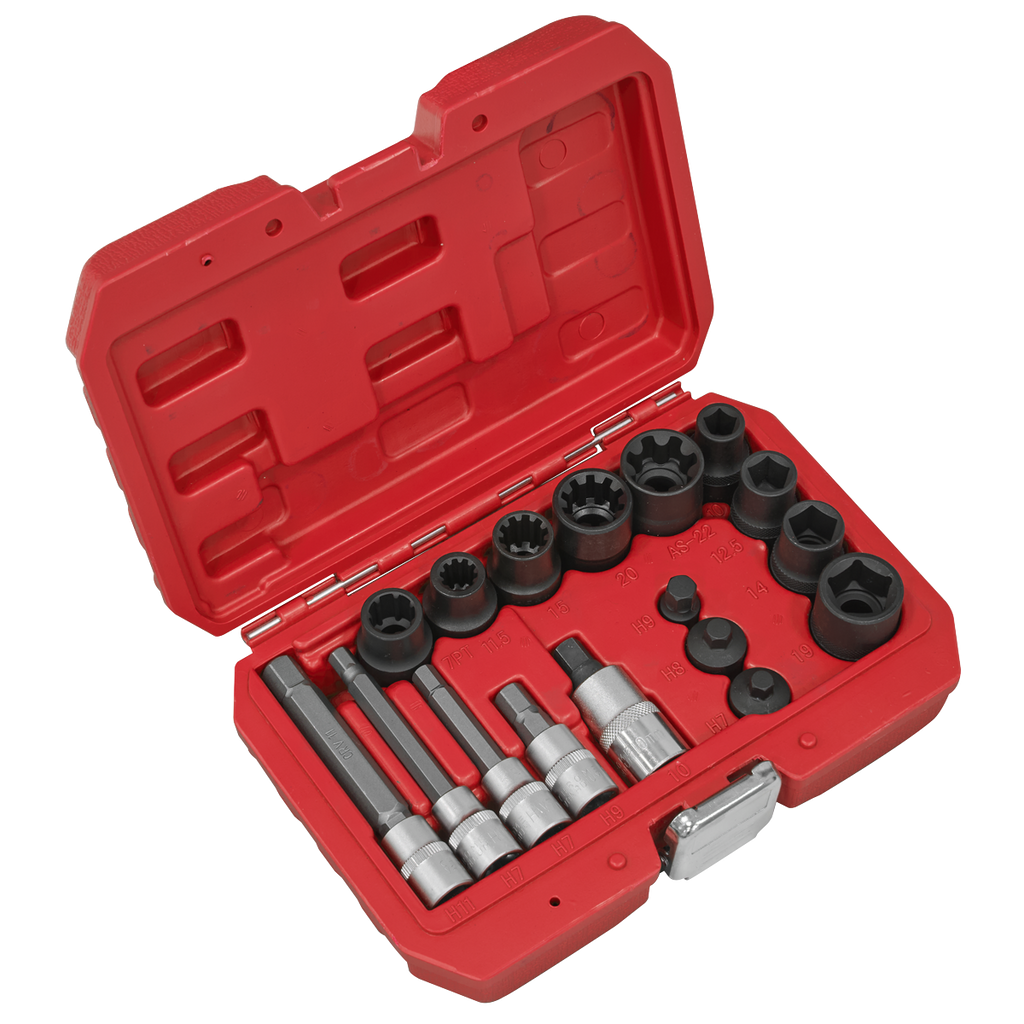 Brake Caliper Socket Set 17pc