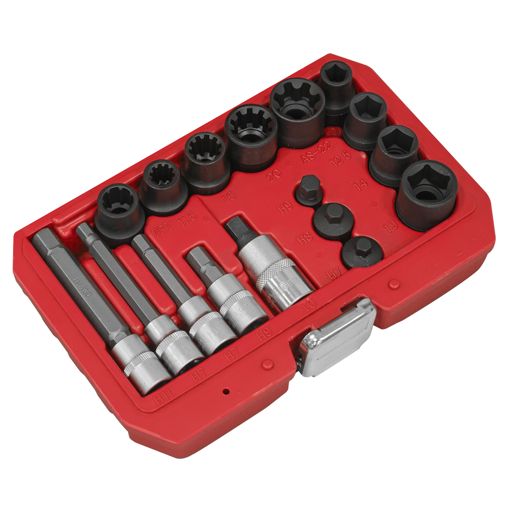 Brake Caliper Socket Set 17pc