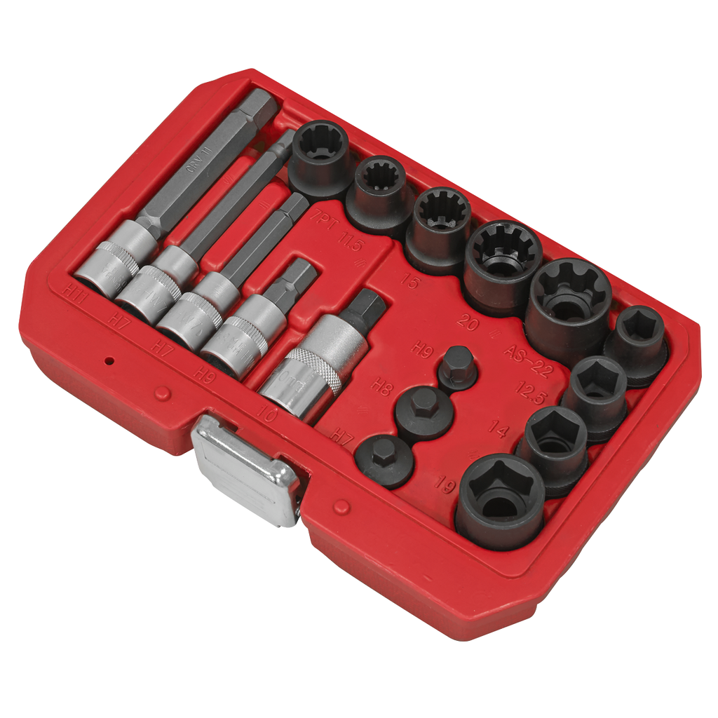 Brake Caliper Socket Set 17pc