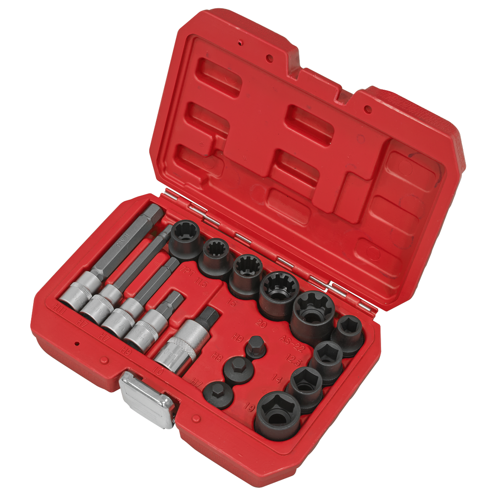 Brake Caliper Socket Set 17pc