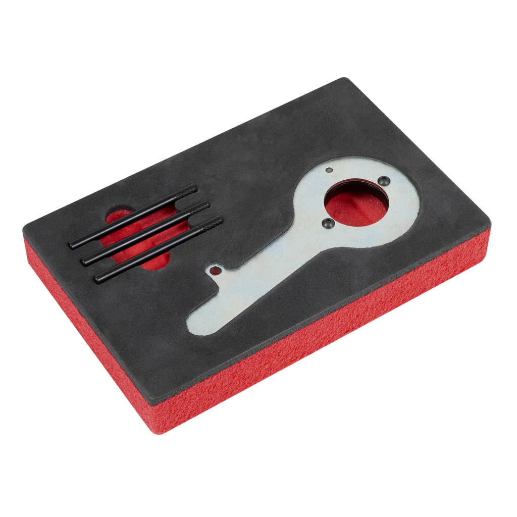 Diesel Engine Timing Tool Kit for Ford 2.0TDCi EcoBlue - Bel