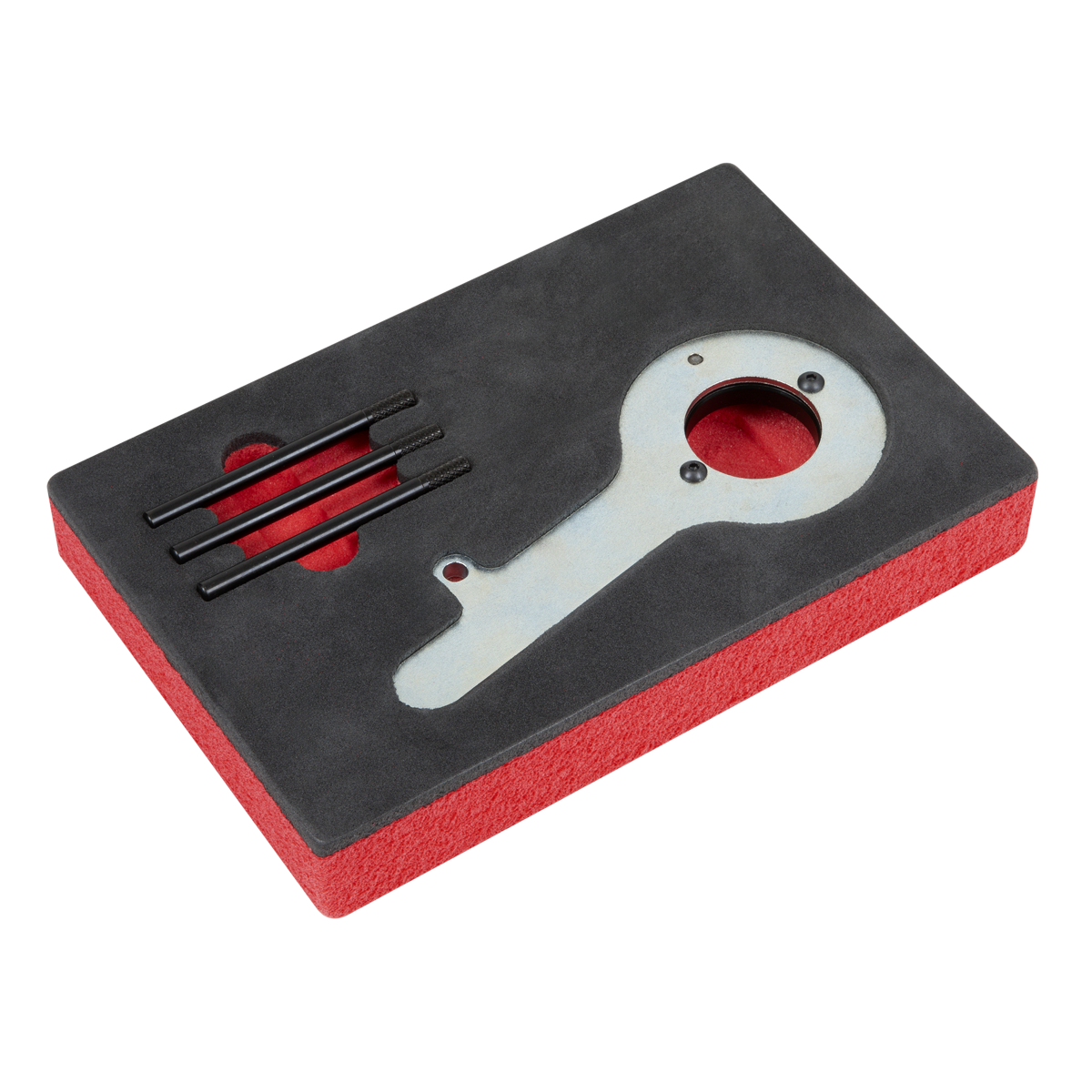 Diesel Engine Timing Tool Kit for Ford 2.0TDCi EcoBlue - Belt Drive