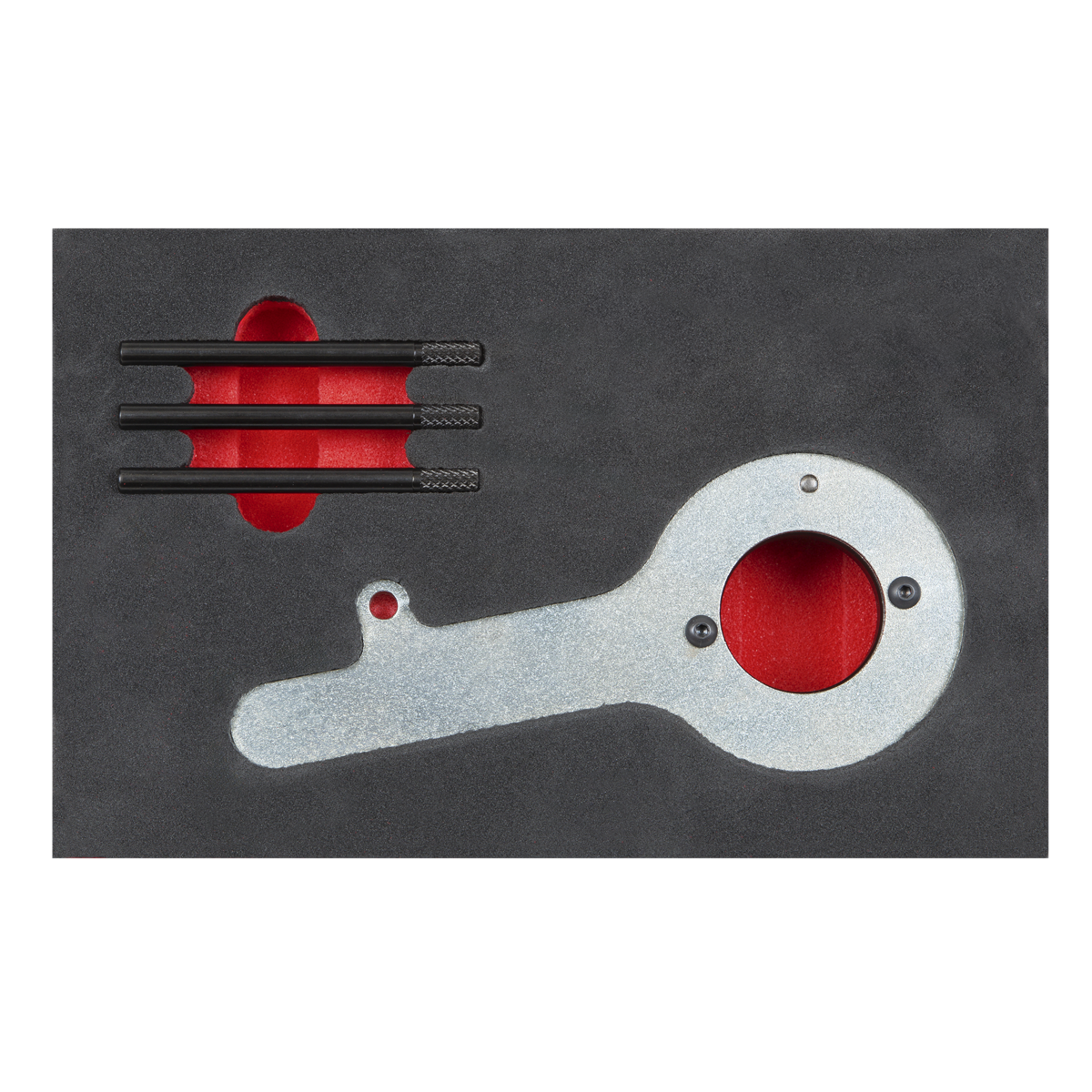 Diesel Engine Timing Tool Kit for Ford 2.0TDCi EcoBlue - Bel