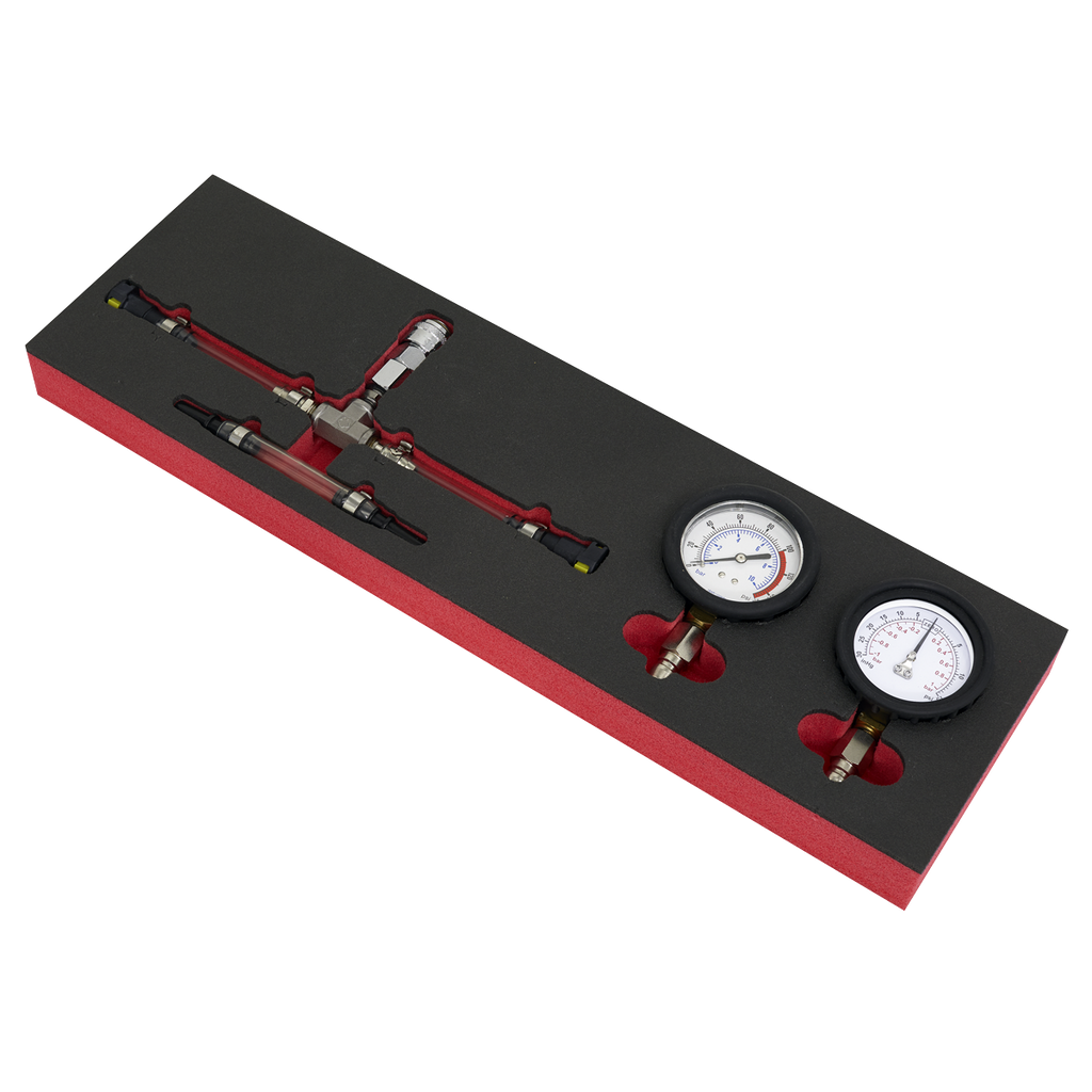 Fuel Pressure Gauge Set