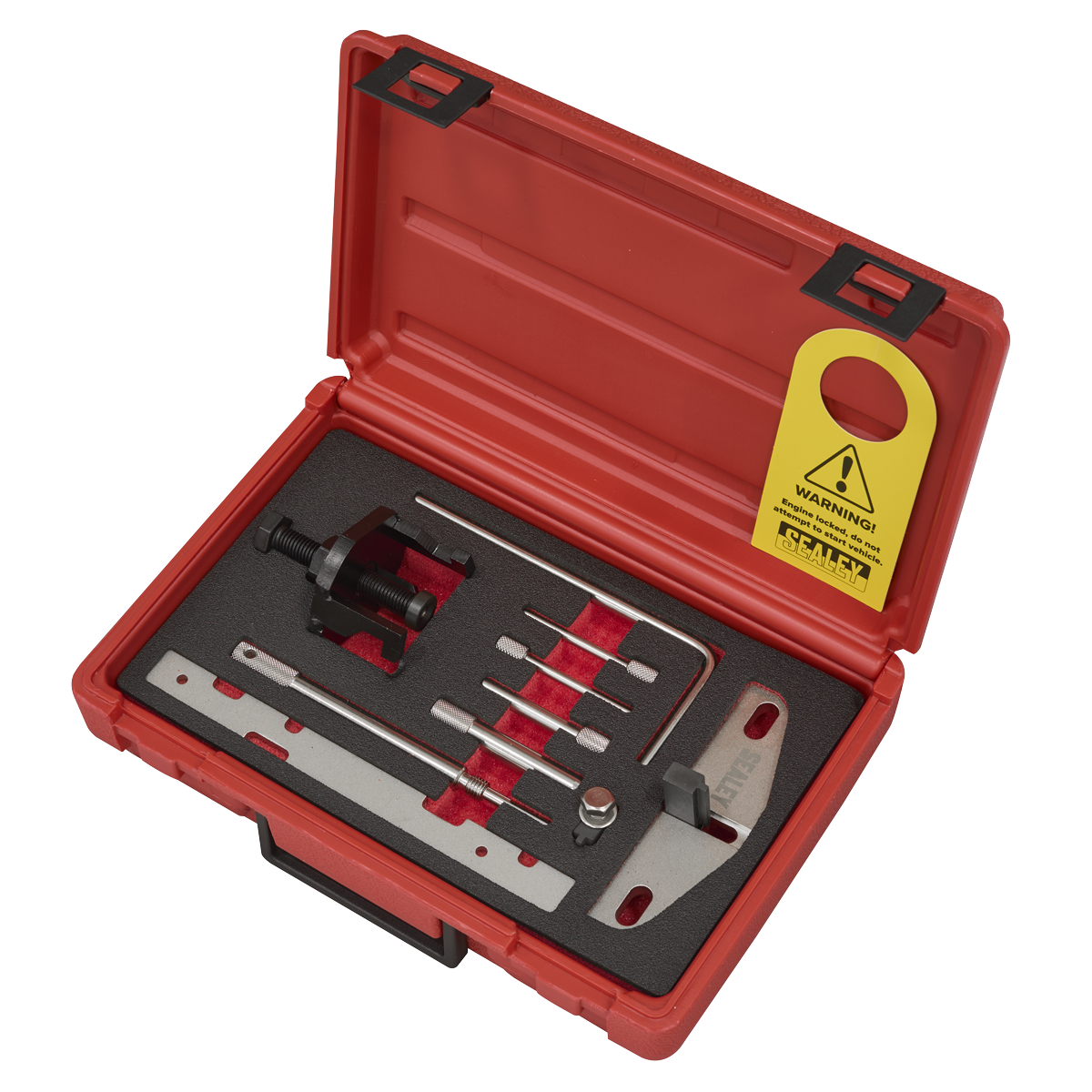 Diesel Engine Timing Tool Kit - for Ford, PSA - Belt Drive