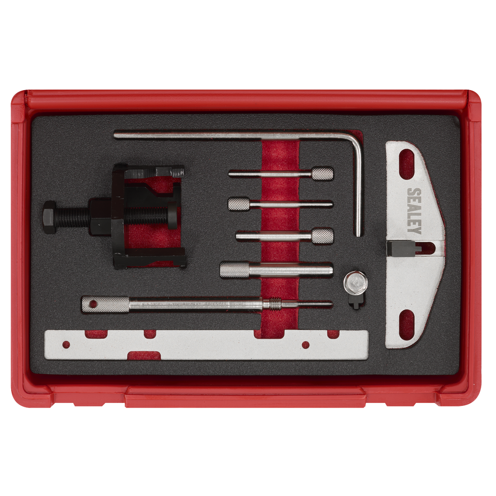 Diesel Engine Timing Tool Kit - for Ford, PSA - Belt Drive