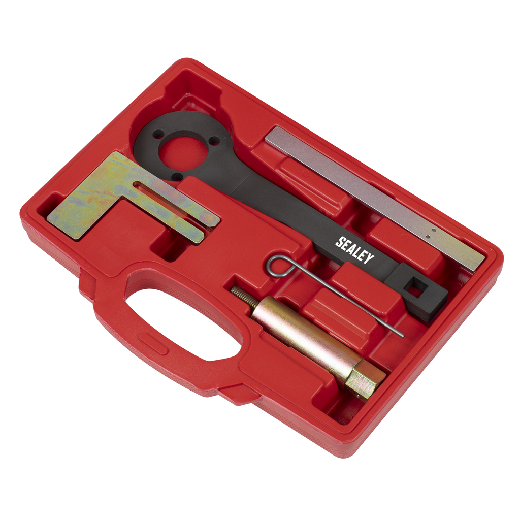 Petrol Engine Balance Shaft Alignment Tool Kit - for BMW, BM