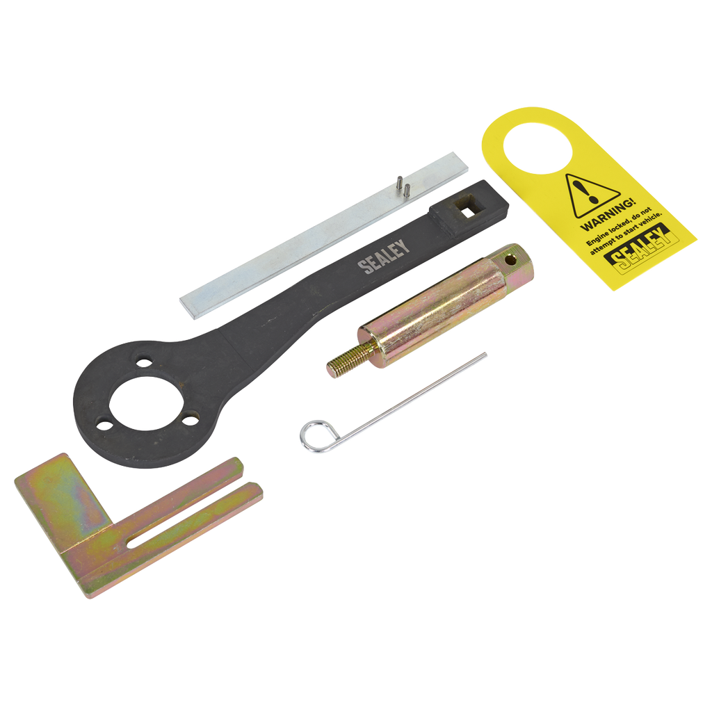 Petrol Engine Balance Shaft Alignment Tool Kit - for BMW, BM