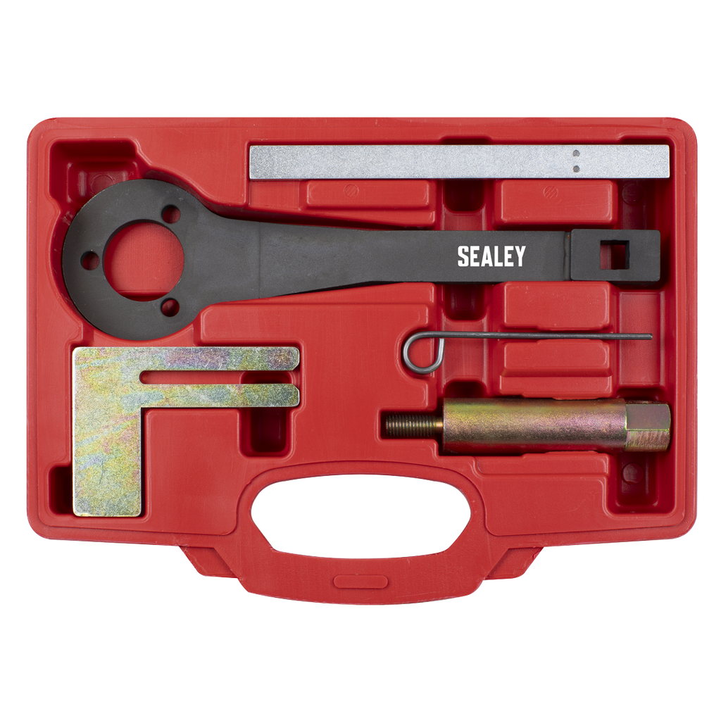 Petrol Engine Balance Shaft Alignment Tool Kit - for BMW, BM