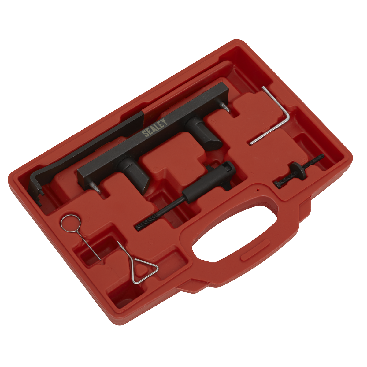 Petrol Engine Belt Replacement & Chain in Head Service Kit -