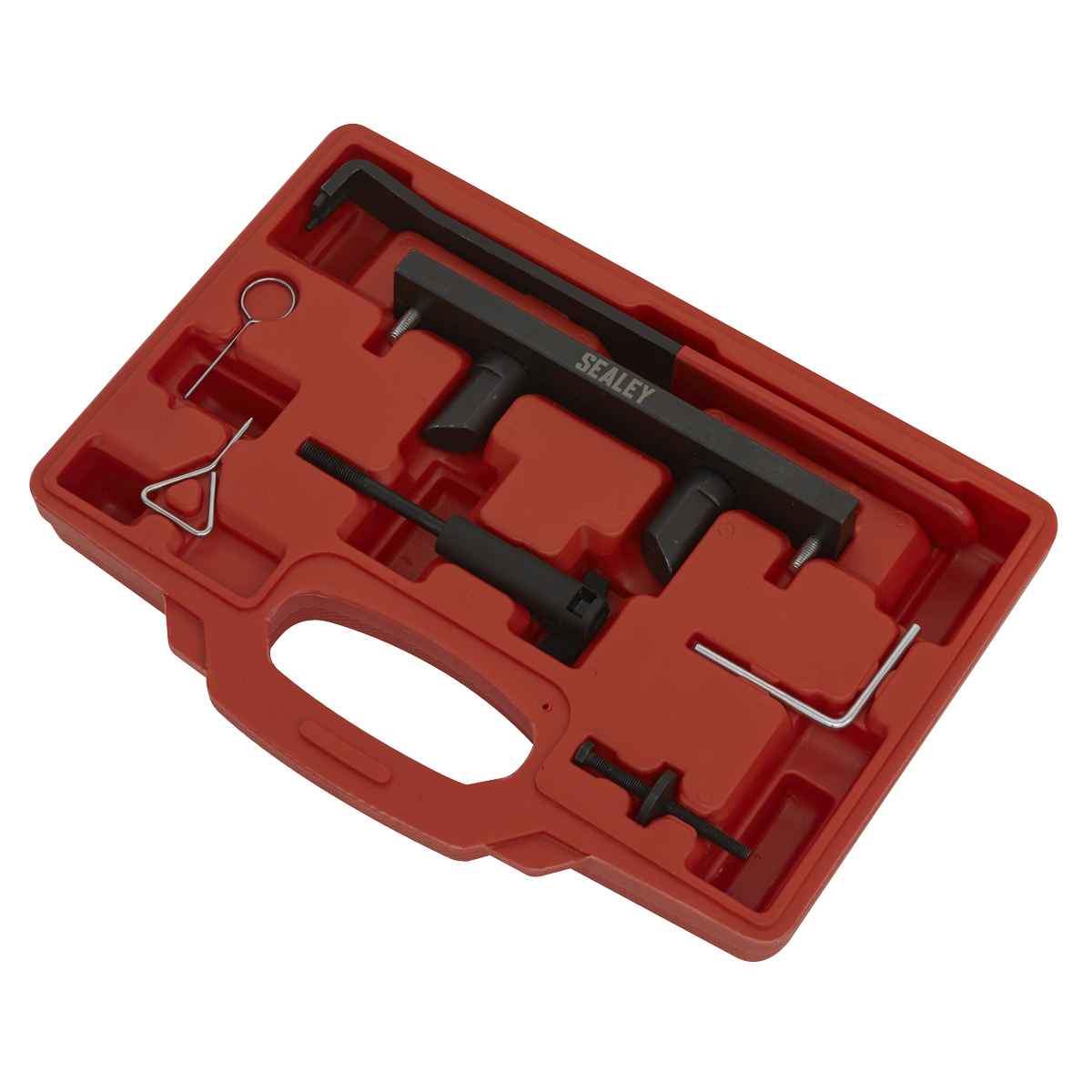 Petrol Engine Belt Replacement & Chain in Head Service Kit -