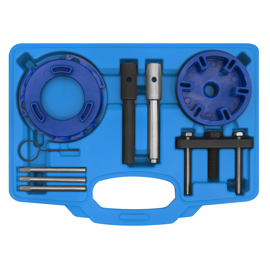 Timing Tool & Fuel Injection Pump Kit - Ford, PSA, LDV