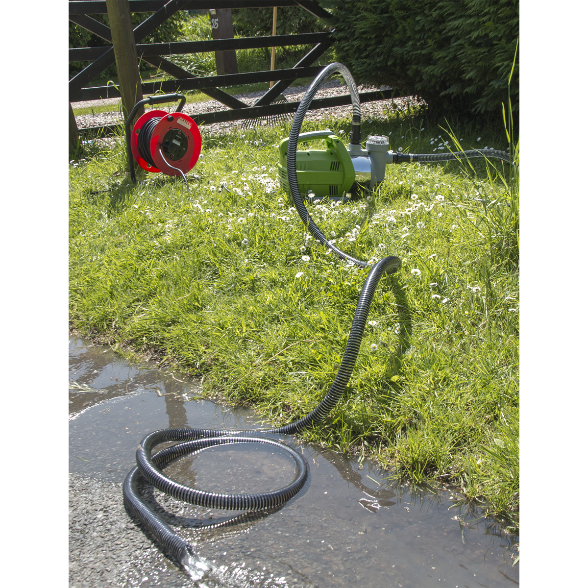 Stainless Steel Surface Mounting Water Pump, 55L/min, 800W (WPS062S)