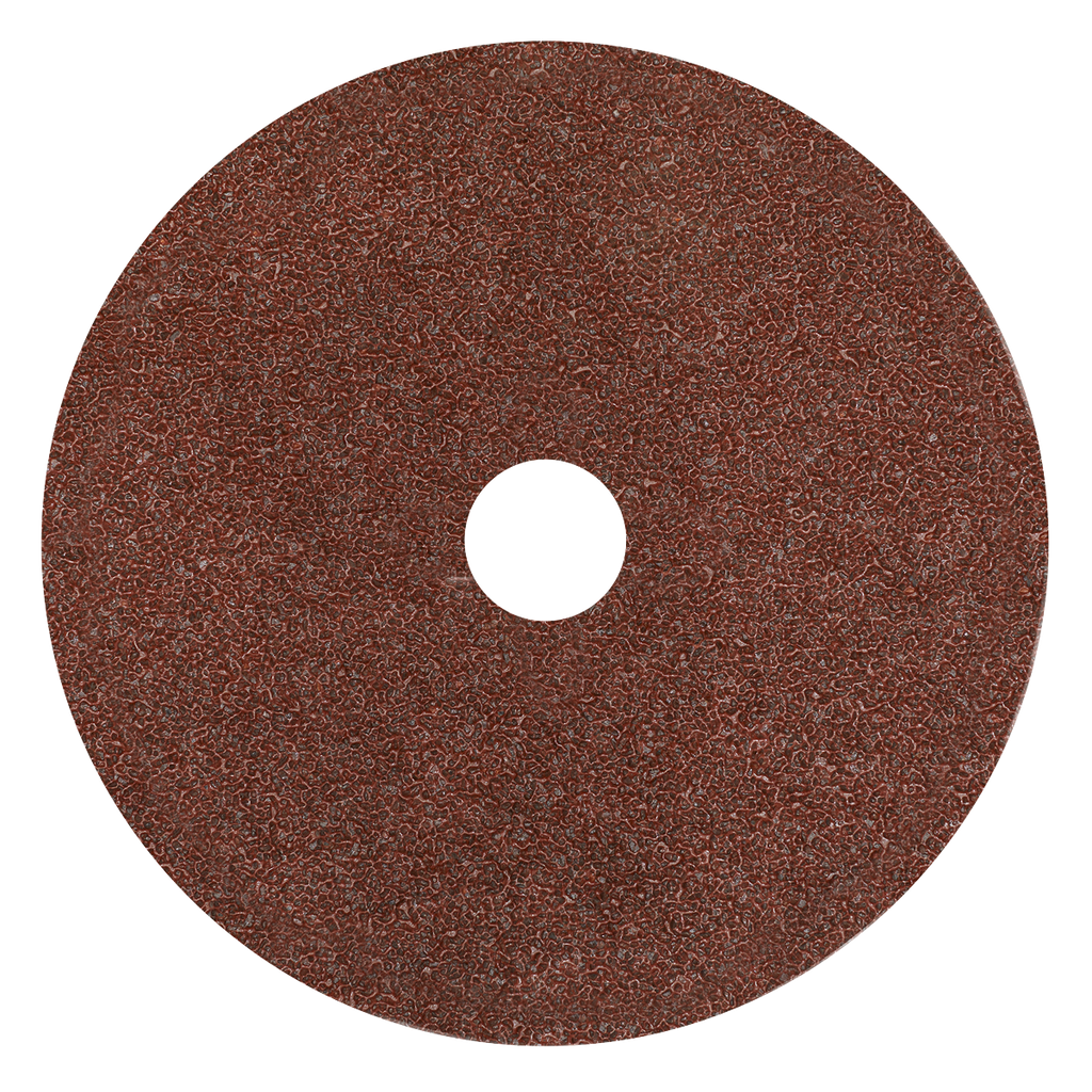 Worksafe® 115mm Fibre Backed Sanding Disc 24Grit - Pack of 2