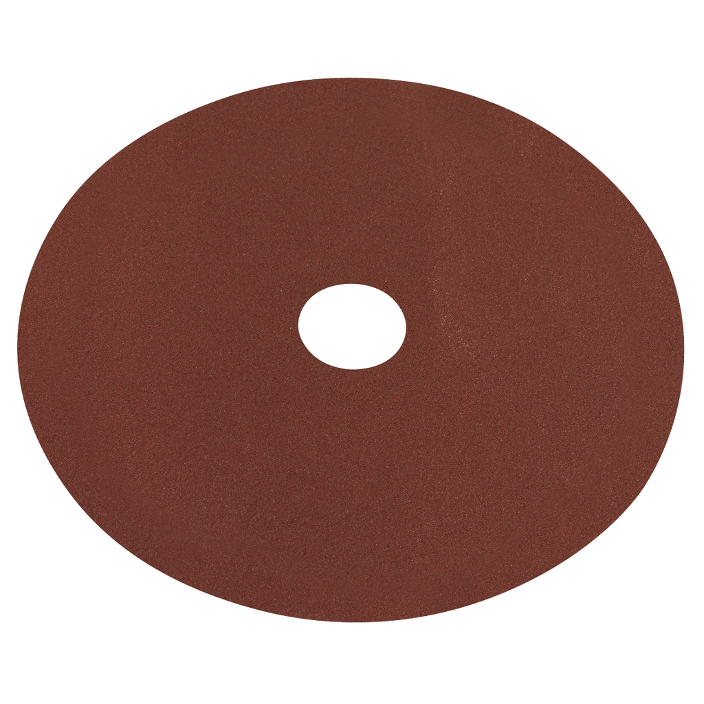 Worksafe® 100mm Fibre Backed Sanding Disc 80Grit - Pack of 2