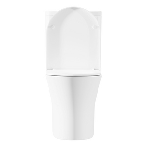 Baridi Close-Coupled Toilet with Soft Close Seat, Dual Flush Cistern & Rimless Flush – White