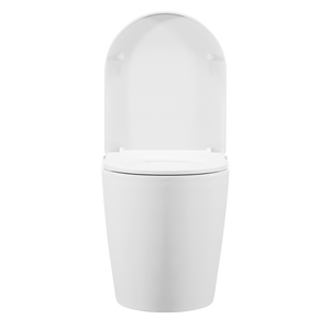 Back-to-Wall Toilet with Soft Close Seat & Rimless Flush – White