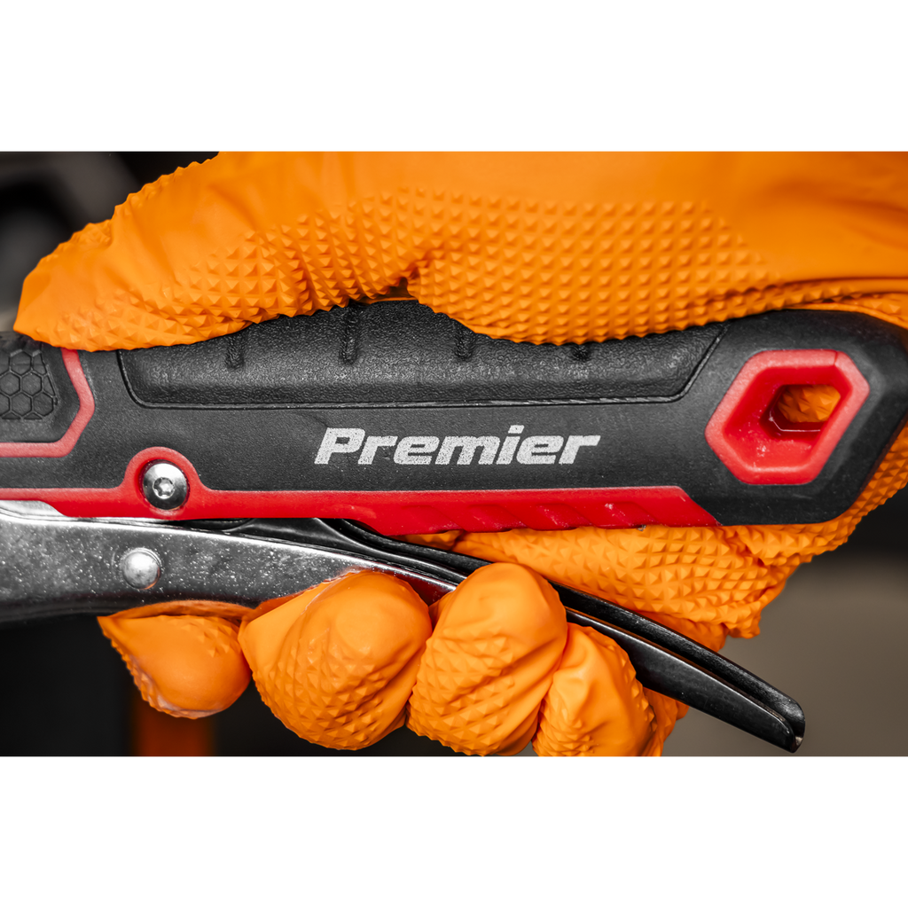 Premier Locking Adjustable Wrench 250mm