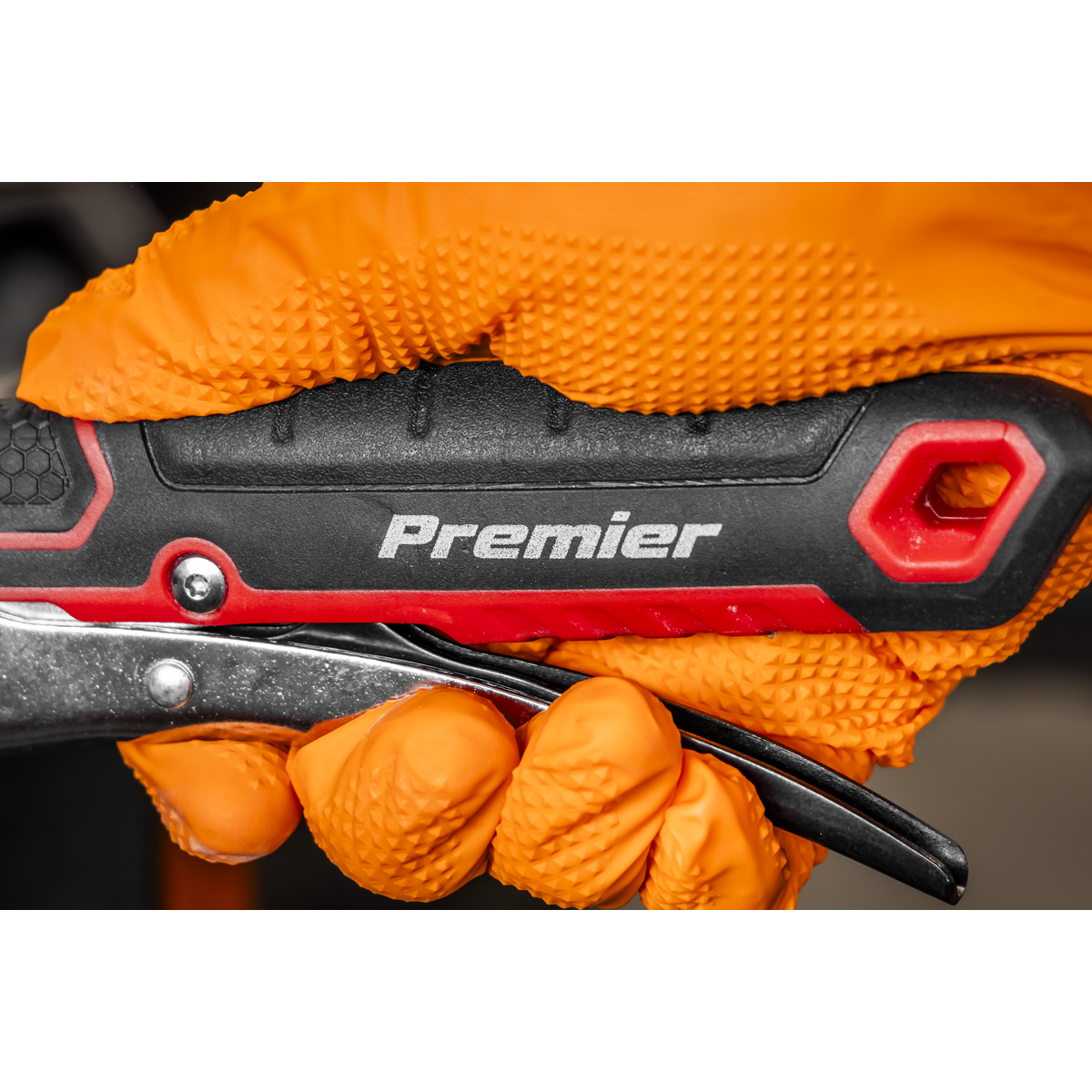 Premier Locking Adjustable Wrench 250mm
